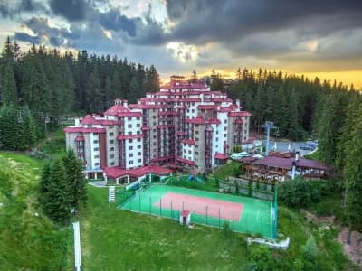 Комплекс Камелия