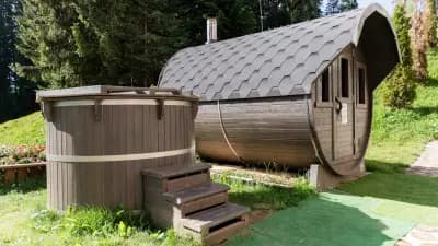 Комплекс Камелия