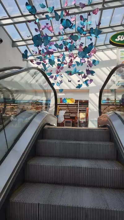 Grand Mall