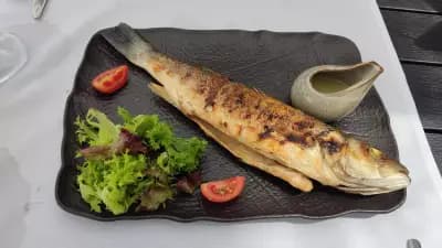 Рива Бар & Ресторант във Варна | Riva Restaurant & Bar | Varna