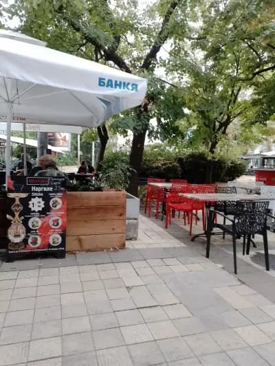 Cocktail bar MONDO