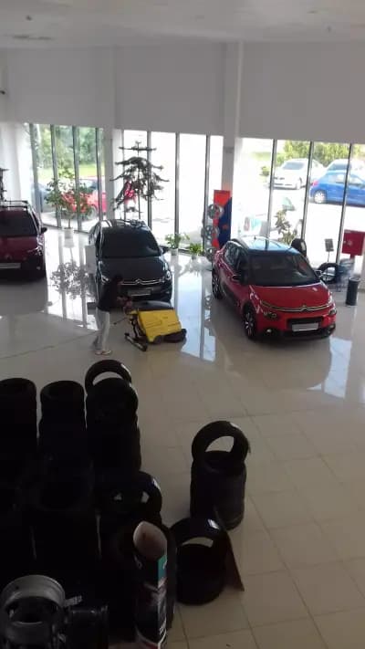 Motoexpert, Fiat, Jeep, Alfa Romeo, Seat