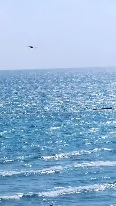 Complex Relax Pomorie All Inclusive