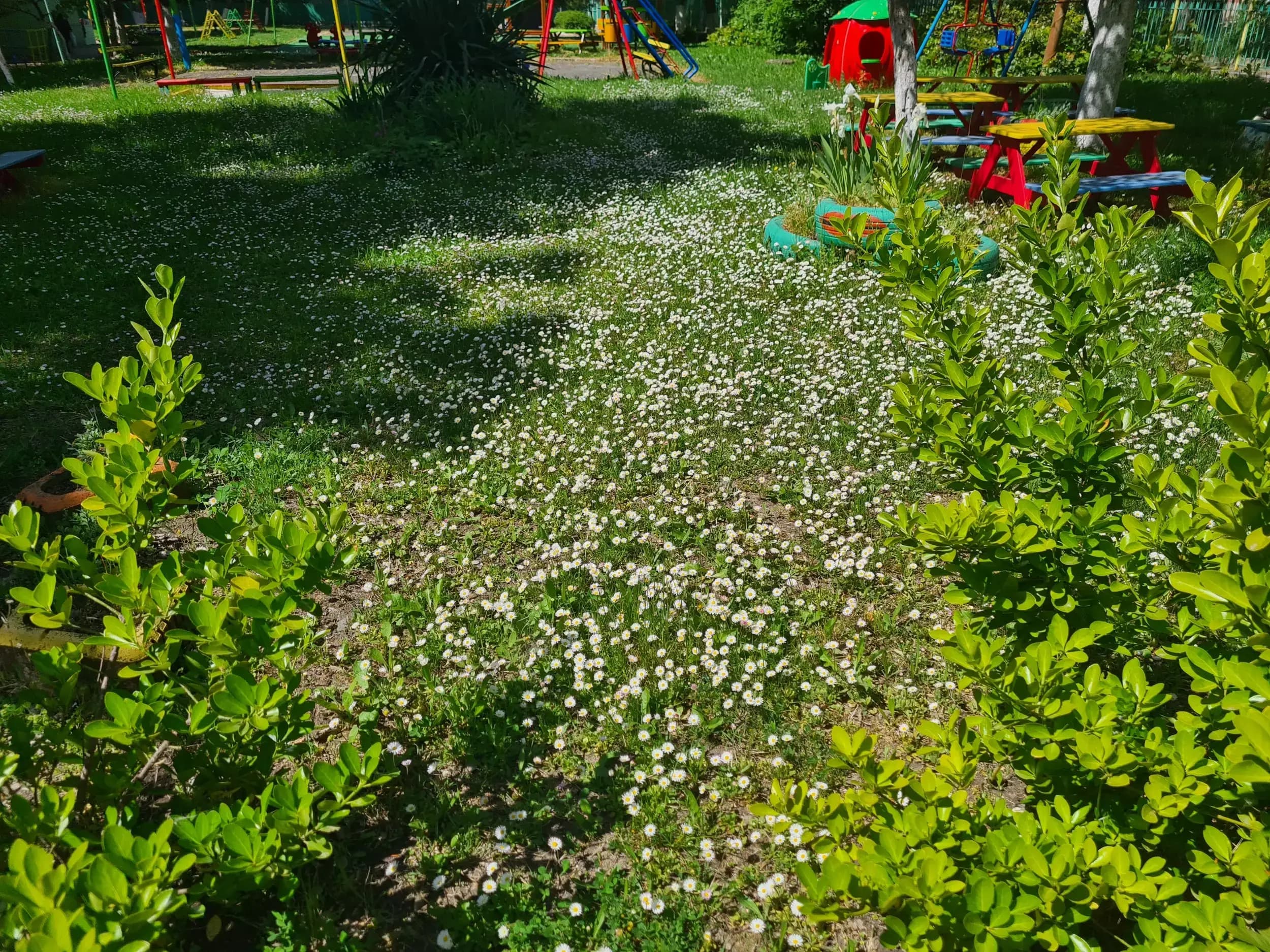 ДГ „Детелина“