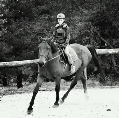 Конна база Happy Horses Estate | Курсове по конна езда Самоков | Разходка с кон сред природата