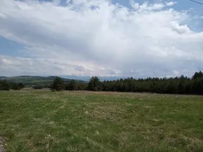 Конна база Happy Horses Estate | Курсове по конна езда Самоков | Разходка с кон сред природата