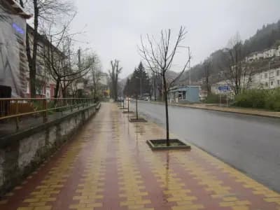Бар „Казабланка“