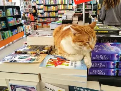 Книжарница “Хеликон”