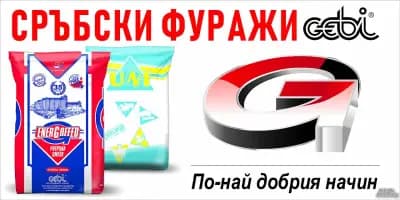 Бора Вет ООД
