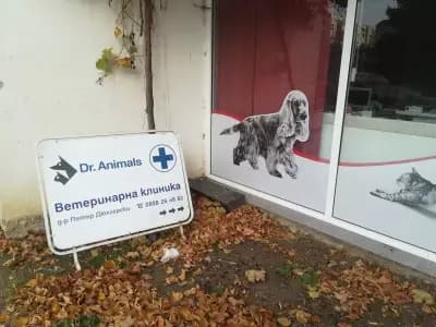 Animals ВЕТЕРИНАРЕН КАБИНЕТ