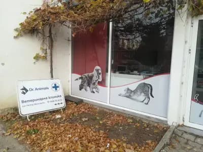 Animals ВЕТЕРИНАРЕН КАБИНЕТ