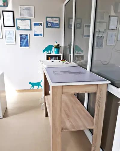 БулВет Клиник
