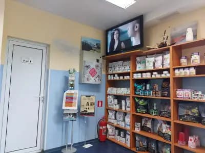 Ами Вет