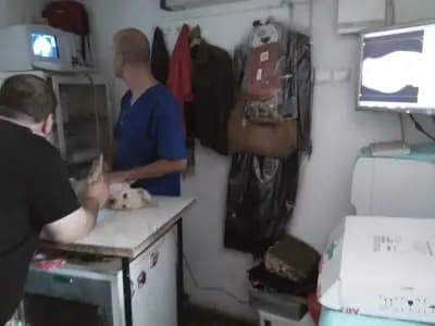 Ветеринарен Кабинет ВладоВет