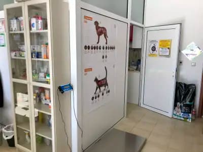 ВетФемили, ветеринарна клиника