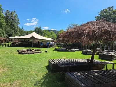 Bedouin Forest Residence