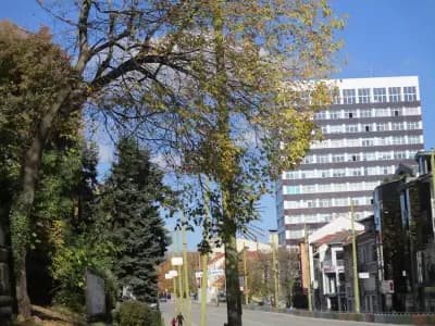 Технически Университет Габрово