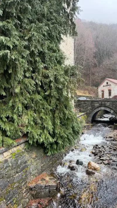 V Travel Ltd.- day tours from Sofia