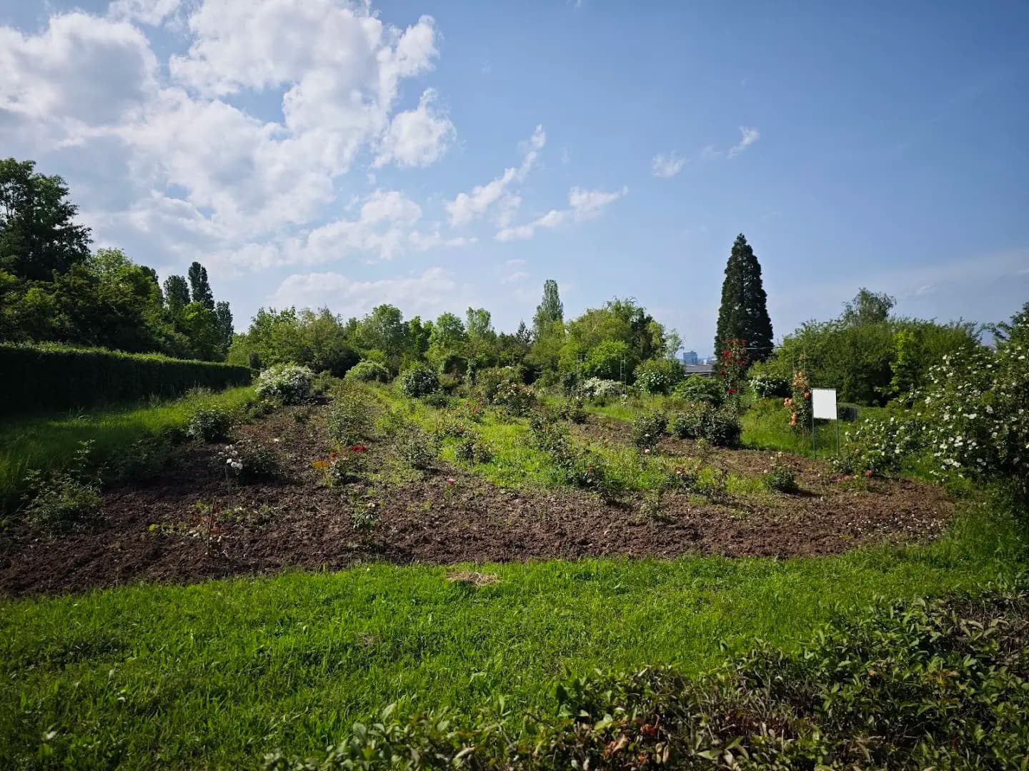 Botanicheska gradina na BAN