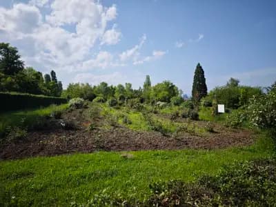 Botanicheska gradina na BAN