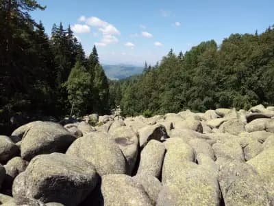 Каменни реки