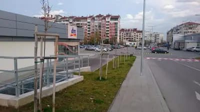 dm България