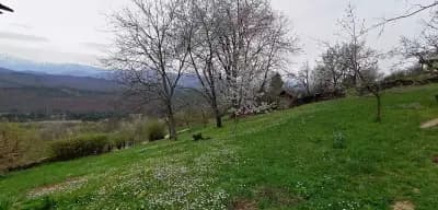 Глинената къща