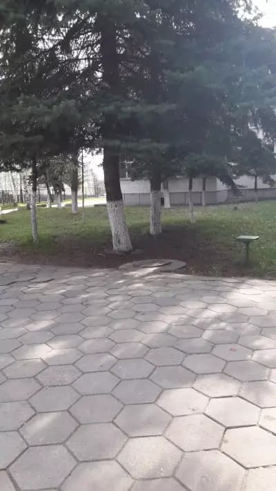 Спортно училище „Ген. Владимир Стойчев“