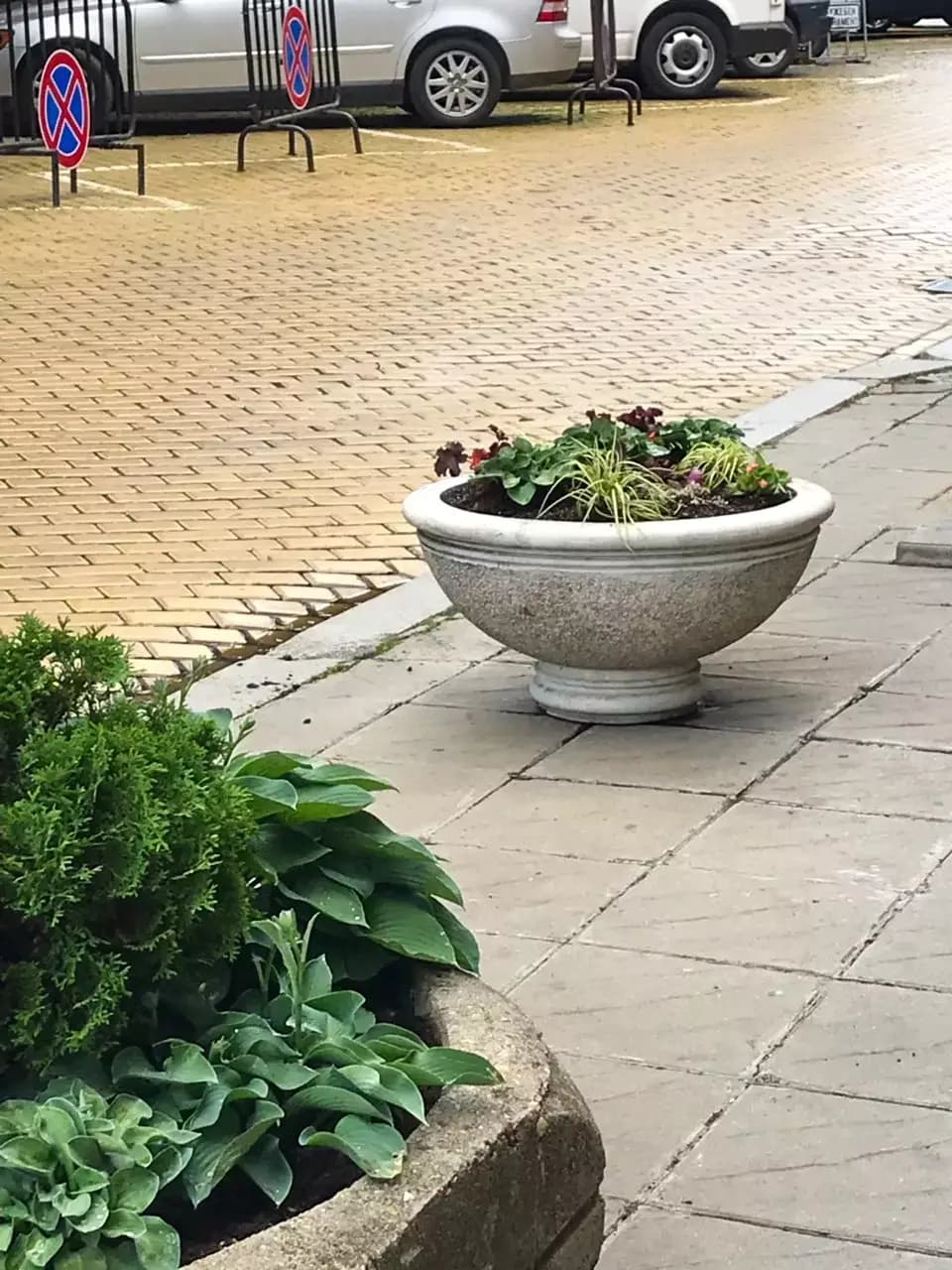 Зелена Концепция