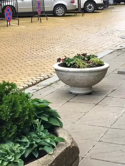 Зелена Концепция