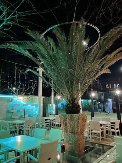 The School Овча Купел | Green Garden Restaurant| Ресторанти София