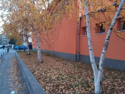 119. СУ „Акад. Михаил Арнаудов“