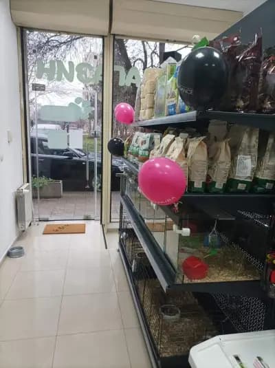 Зоомагазин Ивона