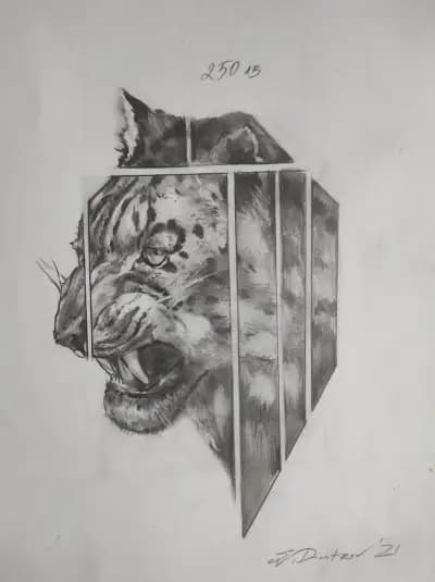 Dimitroff Tattoo Studio