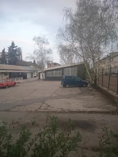 Артеколор