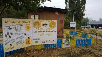 Музей на пчелата