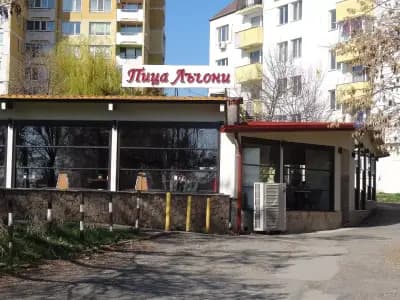 Лъчони Младост