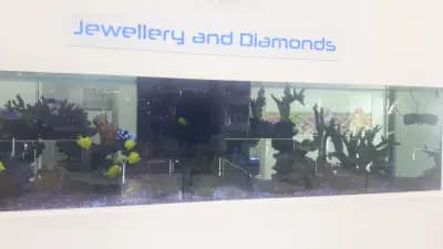 Goto Jewellery and Diamonds Paradise Center