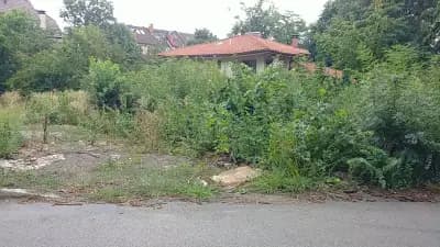 УСБАЛ по Ортопедия „Проф. Бойчо Бойчев“