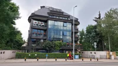 Ваджо - Десислава Василева