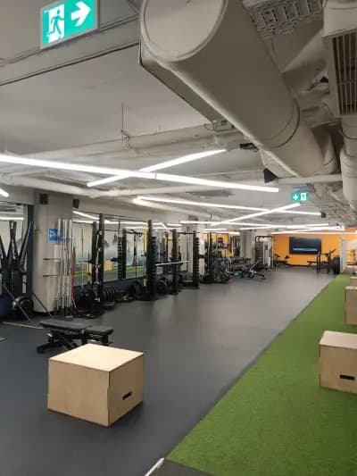 Next Level Fitness | The Mall