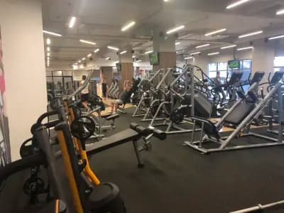 Next Level Fitness | НДК