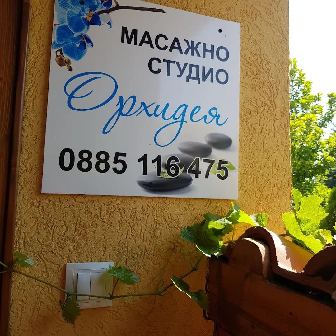 ОРХИДЕЯ 375