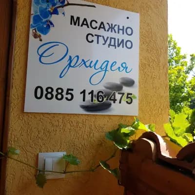 ОРХИДЕЯ 375