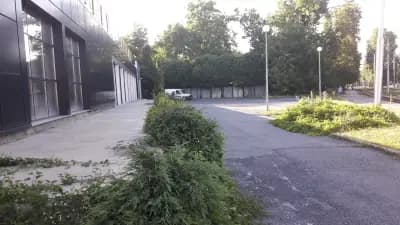Бент ойл