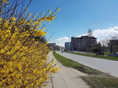 ОМВ 8ми декември