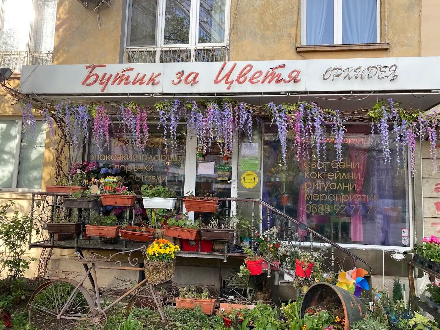 Бутик за цветя Орхидея