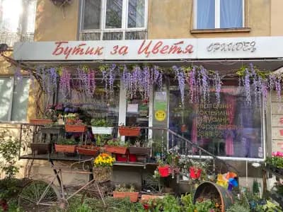 Бутик за цветя Орхидея
