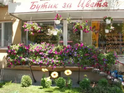 Бутик за цветя Орхидея