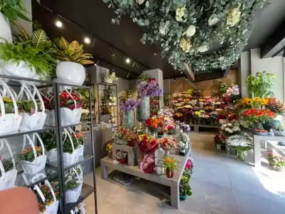 GEBOV Flowers